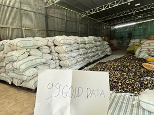 Champignons séchés du Vietnam, shiitake en vrac, sans tige, 20% de protéines, séchés naturellement à l'air, 1 kg/sac sous vide, prix d'usine avantageux - Product Image 6