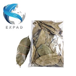 Feuilles de Graviola Brute Séchées Premium – Feuilles de Corossol Naturelles pour Tisanes et Boissons – Prix Direct Usine en Gros - Product Image 1