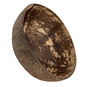 Bol en noix de coco organique de dessin animé du VIETNAM, DESIGN de noix de coco avec cuillère, laque de haute qualité, bols à salade de noix de coco, 1 pièce - Product Image 2