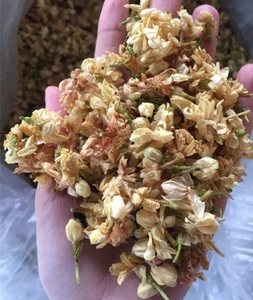 Bourgeons de jasmin séchés naturels pour l'artisanat DIY et les bijoux en résine, véritable matière florale pressée - Product Image 6