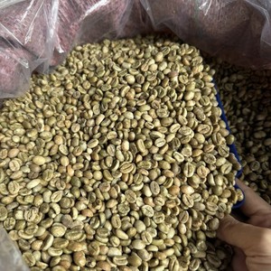 เมล็ดกาแฟโรบัสต้าเวียดนามสีเขียว ขนาด 18  แบบดิบ  จำหน่ายส่ง คุณภาพส่งออก สำหรับอุตสาหกรรมกาแฟ - Product Image 5