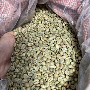 High Quality Vietnam <b>Robusta</b> Green <b>Coffee</b> <b>Beans</b> Screen Size 18 Raw Bulk Export Quality <b>Coffee</b> <b>Beans</b> Supplier Worldwide - Product Image 1