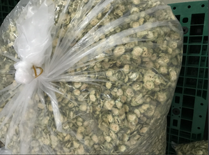 TÉ HERBAL DE MELÓN AMARO DE CALIDAD PREMIUM HECHO CON MELÓN AMARO FRESCO - Product Image 6