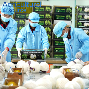 Aceite de coco 500ML fabricante con certificación HACCP e ISO | Aceite de coco directo de granja procesado higiénicamente | Aceite de coco RTS - Product Image 5