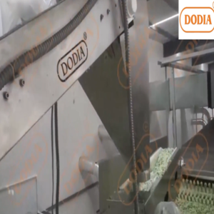 Planta Automática de Deshidratación de Col, Máquina Industrial de Secado de Vegetales, Sistema de Equipos de Procesamiento de Alimentos de Acero Inoxidable - Product Image 4