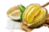 Verse Durian Uit Vietnam: Beste Kwaliteit, Beste Prijs