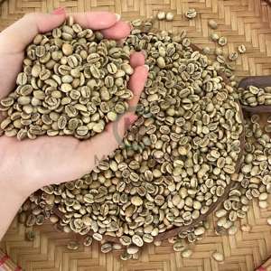 Bon prix Sac de service OEM de haute qualité à saveur naturelle du Vietnam Arabica Screen 18 grains de café vert Vente en gros directe - Product Image 3