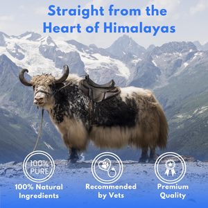 Friandises pour chiens au lait de yak de l'Himalaya, fabrication artisanale, saveurs fraise, myrtille, noix de coco, marque privée OEM ODM - Product Image 3