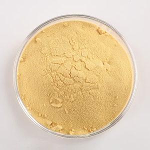 Extrait de levure de qualité alimentaire OEM, poudre de levure 100% pure et naturelle, riche en protéines, acides aminés et nutriments - Product Image 3