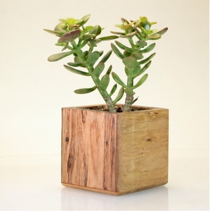 Maceta Cuadrada de Madera Hecha a Mano para Suculentas, Maceta Minimalista de Madera Sólida para Decoración de Escritorio y Oficina, Personalizable para Bodas - Product Image 3