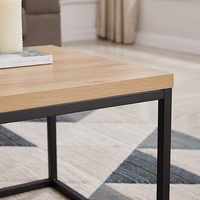 Mesa de Decoración para Bodas, Moderna, de Acero Inoxidable, de Alta Calidad, Construcción Robusta, Acabado Elegante, Ecológica, Personalizable, para Oficina y Hogar
