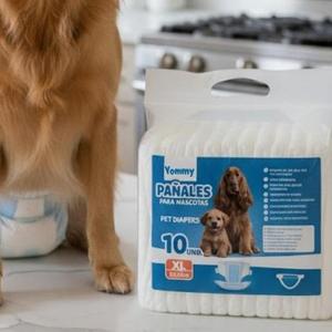 Couches jetables unisexes Yommy pour chiens, protection contre la chaleur et les fuites - Product Image 3