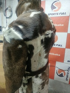 Abrigo de Invierno de Piel Sintética Gruesa, Cuello Alto, Manga Larga, Prenda Exterior Cálida, Diseño Sólido, Moda Femenina - Product Image 3