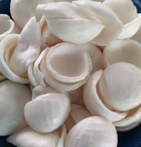 Viande de noix de coco congelée de qualité supérieure, issue de jeunes noix de coco fraîches, en forme de cube entier, de moitié ou en morceaux - Product Image 1