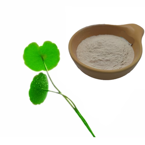 Extracto de Centella Asiática Premium, Ingrediente Cosmético, Polvo Activo de Centella Asiática, Venta al por Mayor, Proveedor de Calidad de Exportación - Product Image 2