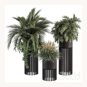 Designer Iron Black Color Plant Pot Stylish New Design Customized Decorative Planter for Contemporary Spaces - Product Image 1