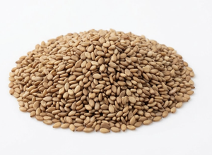 Semillas de Sésamo Naturales Sin Cáscara, Calidad de Exportación |   Suministro a granel de aceite de tahini, semillas de sésamo tostadas de grado alimenticio, Gujarat, India - Product Image 2