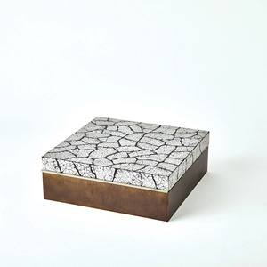 Boîte à bijoux rectangulaire en métal avec finition laquée craquelée, design moderne avec couvercle, conteneur de rangement à 1 niveau - Product Image 1