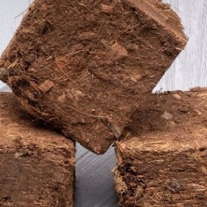 Compressed Coconut <b>Coir</b> <b>Block</b> - Product Image 1
