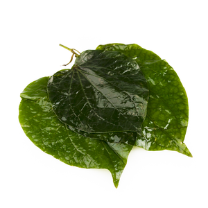 Feuilles de Piper Lolot congelées authentiques du Vietnam pour la cuisine asiatique - Product Image 6