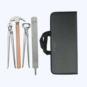 Kit d'outils professionnel pour ferrage de chevaux avec marteau de ferrage, pince à clous, cisaille à sabots, lime à double face en acier inoxydable - Product Image 1