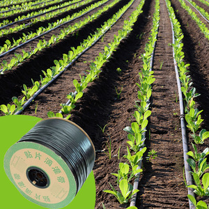 0.8LPH Turbo Flow Dripline 25PSI Min Diseño de emisor de lavado automático - Product Image 1