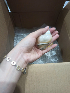 Eco Friendly Shell Napkin <b>Ring</b> Handmade Coastal Table Decoration for Wedding Reception and Home Dining - Product Image 6