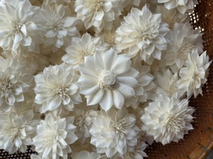 Premium White Dahlia Sola Wood Flowers Sustainable Handmade Home Fragrance Rattan <b>Stick</b> 8-8.5cm VADEE Brand Wholesale - Product Image 6