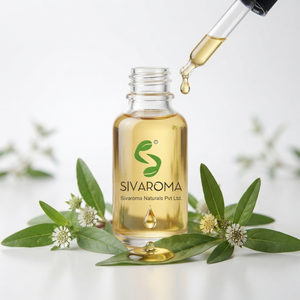 Huile pure de Bhringraj pour les formulations de soins capillaires, les produits cosmétiques, les mélanges de soins personnels et la fabrication de produits de beauté botaniques - Product Image 4