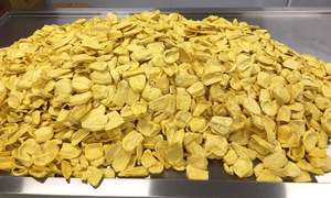 Fruits frais surgelés Offres Spéciales de jacquier sans sucre ajouté de qualité supérieure directement du fournisseur fiable du Vietnam - Product Image 6