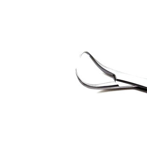 Pinza de Toalla Backhaus Profesional y Duradera de 13 cm, Instrumento Quirúrgico Veterinario Ortopédico para Sujetar Huesos - Product Image 2