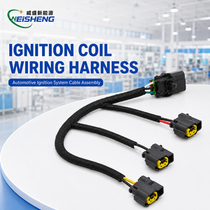 Rangkaian Kabel Injektor Kustom Sensor Mesin ECU Rakitan Kabel OEM - Product Image 1
