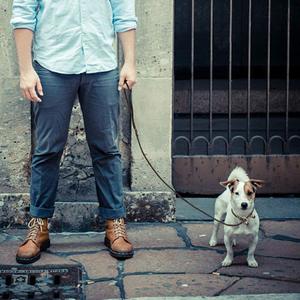Luxury Soft Genuine Leather <b>Dog</b> <b>Leash</b> Heavy Duty Braided Pet Lead Padded Handle Adjustable Solid Brass Hook Lace Fashion Simple - Product Image 2