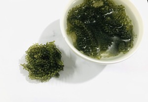 Raisins de mer déshydratés de qualité supérieure, export du Vietnam, Caulerpa Lentillifera séchée - Product Image 6