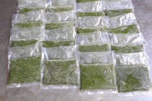 Nouvelles feuilles de manioc surgelées du Vietnam de produit de qualité supérieure en vert pour des applications alimentaires - Product Image 4