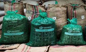 PROVEEDOR VIETNAMITA de Granos de Café Arábica Crudos - Grado 3 - Precio Mayorista Más Bajo - Empaque a Granel - Muestra Gratis y MOQ Bajo - Product Image 4