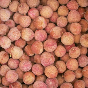 Lichi Congelado de Origen Vietnamita, Calidad Premium, Proveedor de Exportación - Product Image 1