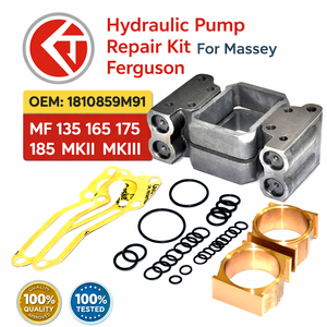 ชุดซ่อมปั๊มไฮดรอลิก 1810859M91 สำหรับรถแทรกเตอร์ Massey Ferguson MF 135/165/175/185 ชุดโอริงและปะเก็น เหล็กหล่อ/โลหะ รับประกัน 6 เดือน - Product Image 6
