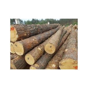 Wholesale distributor of kiln-dried Pine <b>Logs</b> for firewood and <b>heating</b> - Product Image 2