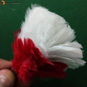 Plumas Decorativas de Primera Calidad, Color y Logotipo Personalizados, Accesorio Ligero para Disfraces y Sombreros - Product Image 5