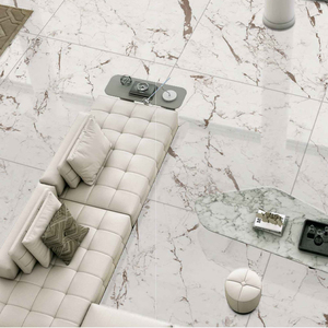 Premium Large Size Porcelain Tiles 120x120 cm Digital Glaze Modern Interior Accent Design with High Strength Surface - Product Image 5