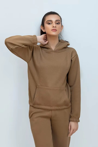 Women's 2 Piece Fleece Hooded Sweatshirt <b>Set</b> Solid Color Casual Loose Fit Full Length Pants With Pocket All Seasons Wear - Product Image 4