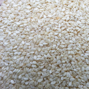 Stock disponible, vente en gros, approvisionnement en vrac, graines de sésame de qualité supérieure, meilleure qualité, fabricant exportateur - Product Image 3