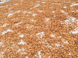 น้ำมันหอมระเหยกลิ่นหวานรสเผ็ด8ซม. สำหรับตกแต่งโต๊ะทำอาหาร WS + 84 865216698 - Product Image 4