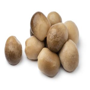 Nouveau 2026 Champignons de paille entiers en conserve en saumure Qualité supérieure du Vietnam Qualité alimentaire Vente en gros Fournisseur OEM Marque privée - Product Image 6