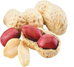 Nuevas almendras de guisantes cultivadas en Tailandia - Product Image 4