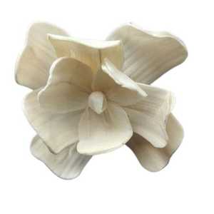 Flor Seca Cósmica, Flor de Gardenia Sola Orgánica de Calidad Premium para el Festival de Marzo, DIY, Boda, Día del Padre, Halloween, Eterna - Product Image 1