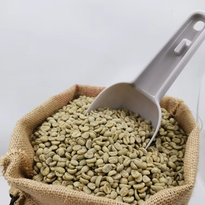 Organic Arabica Green <b>Coffee</b> <b>Beans</b> Vietnam Size 18 USDA & ISO 22000 Certified 0.1% Black Broken AA+ TNFOOD Brand Export Quality - Product Image 1