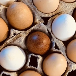 Œufs de poule riches en nutriments pour une alimentation saine quotidienne - Product Image 1