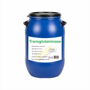 Enzima Transglutaminasa de Grado Alimenticio Premium 100 2000 g en Polvo para la Unión de Proteínas en el Procesamiento de Carne, Hecho en India - Product Image 1